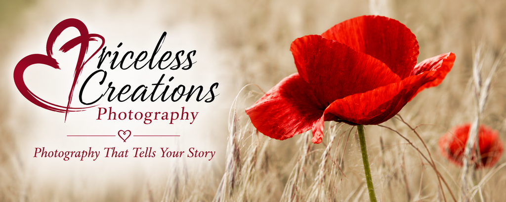 pricelesscreations.biz